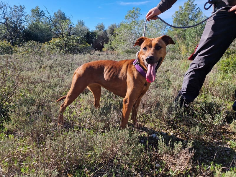 EMINA - intelligent und lernwillig