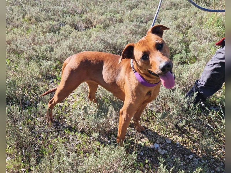 EMINA - intelligent und lernwillig