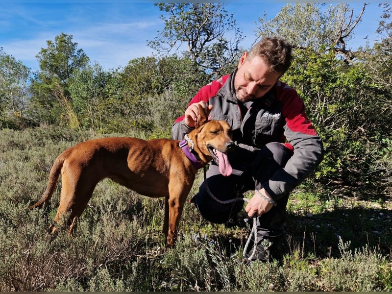 EMINA - intelligent und lernwillig