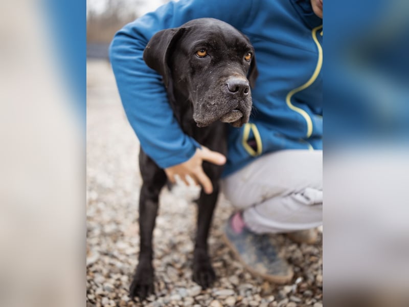 Debby eine richtige Knutschi-Mausi