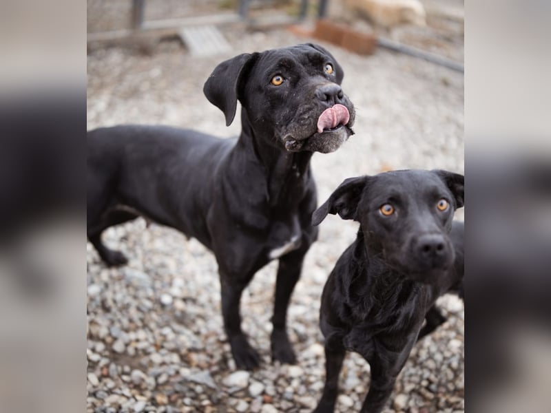 Debby eine richtige Knutschi-Mausi