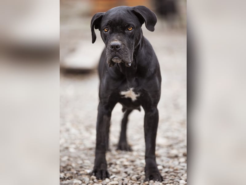 Debby eine richtige Knutschi-Mausi