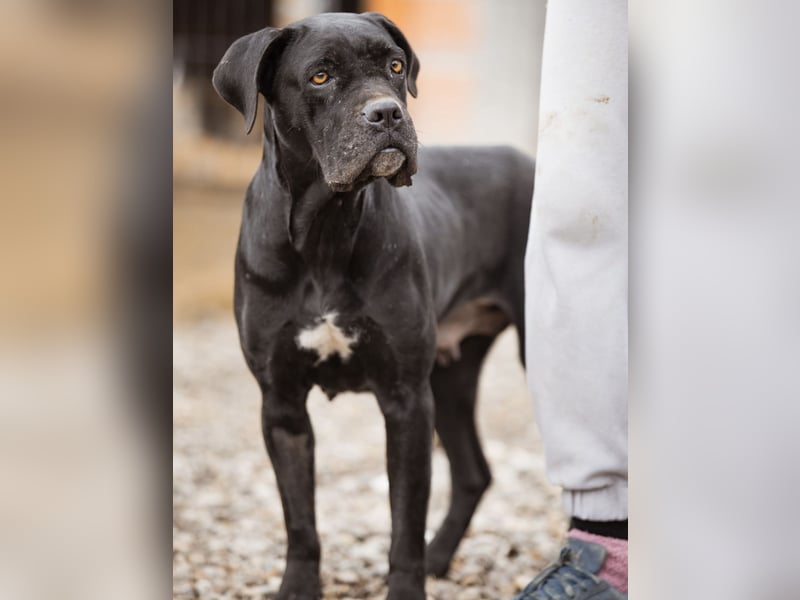 Debby eine richtige Knutschi-Mausi