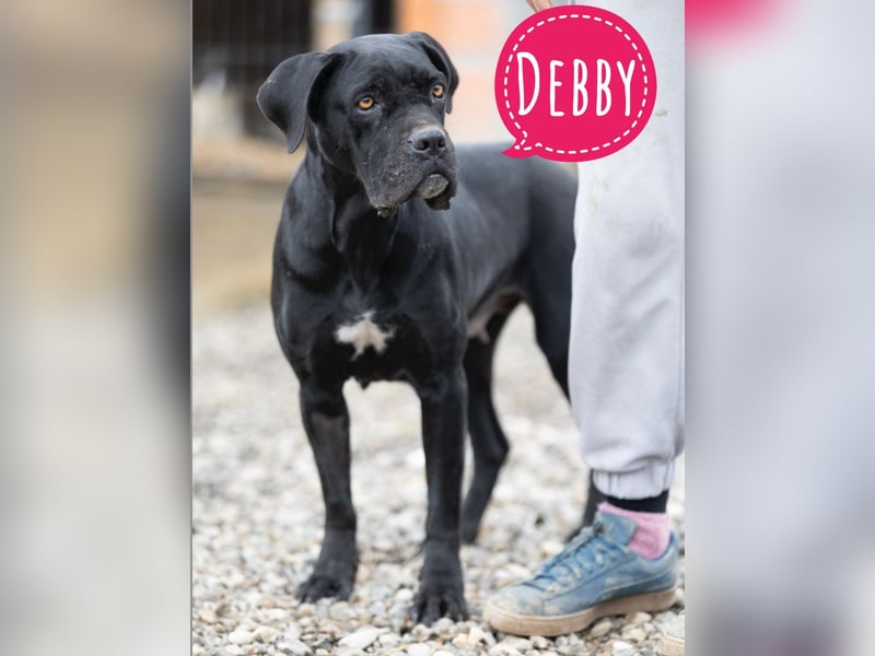 Debby eine richtige Knutschi-Mausi