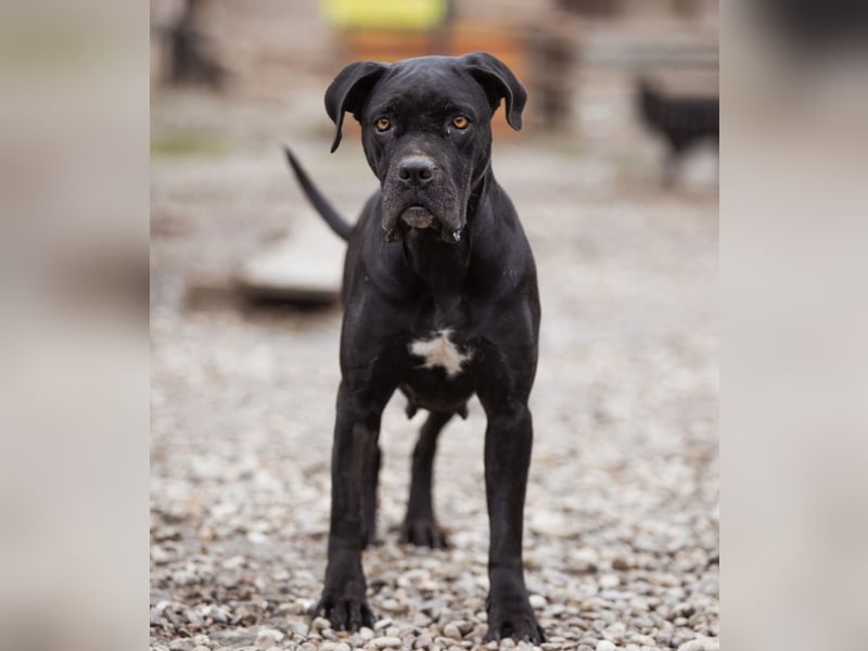 Debby eine richtige Knutschi-Mausi