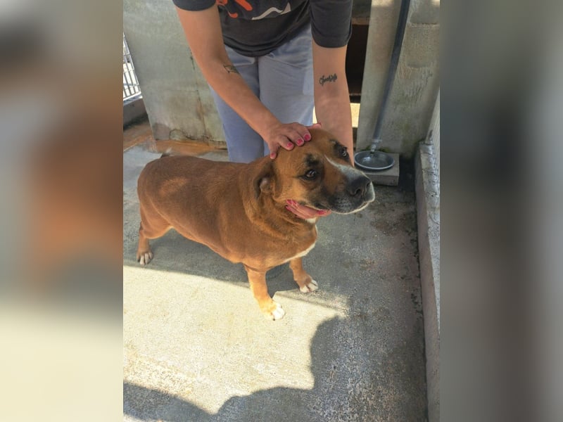 Roddy sucht seine Menschen