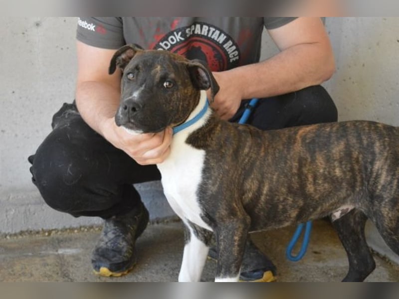 Aiko - Zwei Brüder auf der Suche nach Geborgenheit