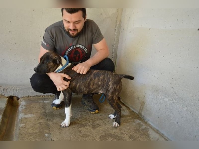 Aiko - Zwei Brüder auf der Suche nach Geborgenheit