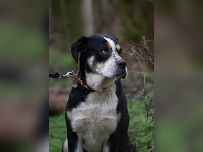 Vilma-BE, sucht einen sicheren Hafen!