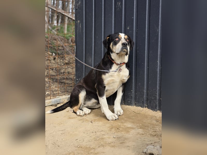Vilma-BE, sucht einen sicheren Hafen!