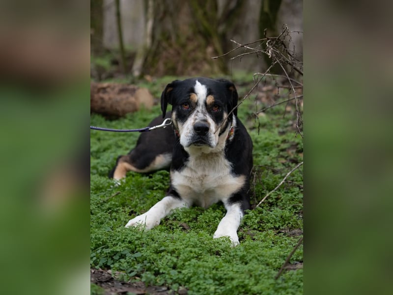 Vilma-BE, sucht einen sicheren Hafen!