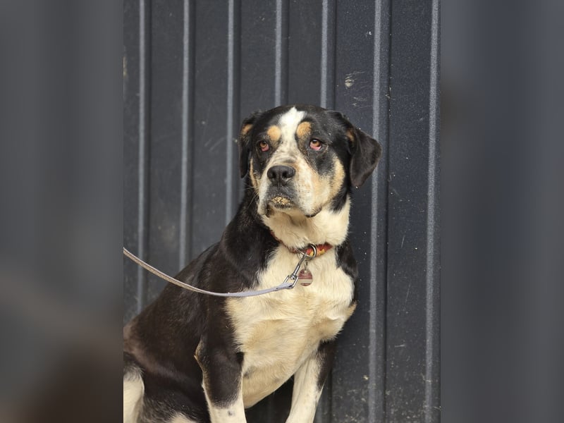 Vilma-BE, sucht einen sicheren Hafen!