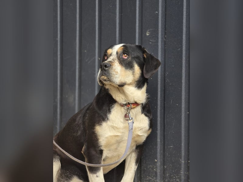 Vilma-BE, sucht einen sicheren Hafen!