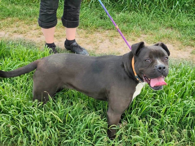 Bonnie, geb. 01.2023, 57cm sucht ihr Zuhause