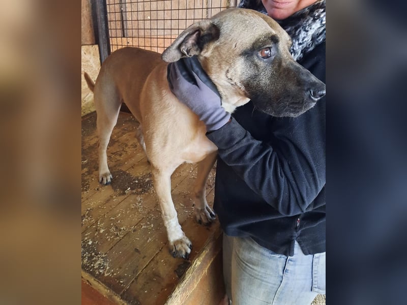 Kesua VA – freundlich zu Menschen