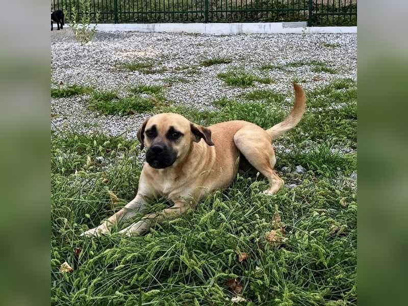 Murphy ein besonders lieber Engel