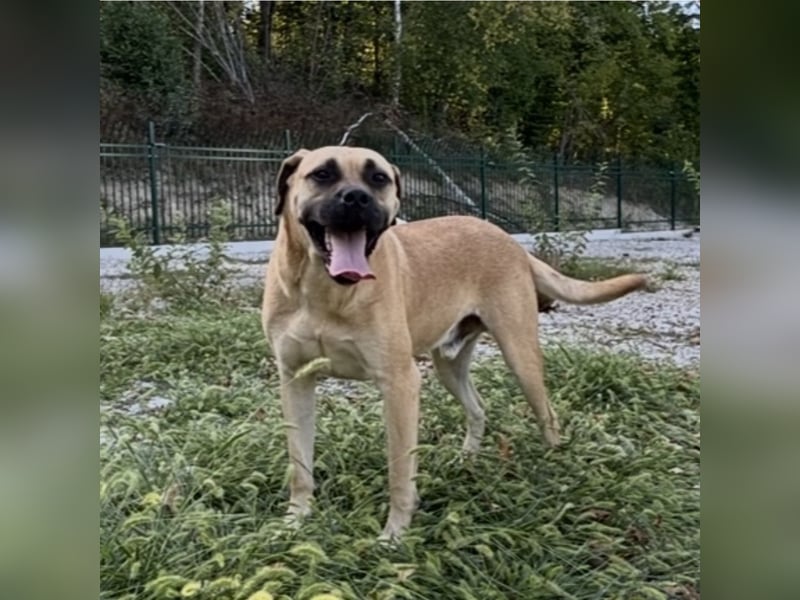 Murphy ein besonders lieber Engel