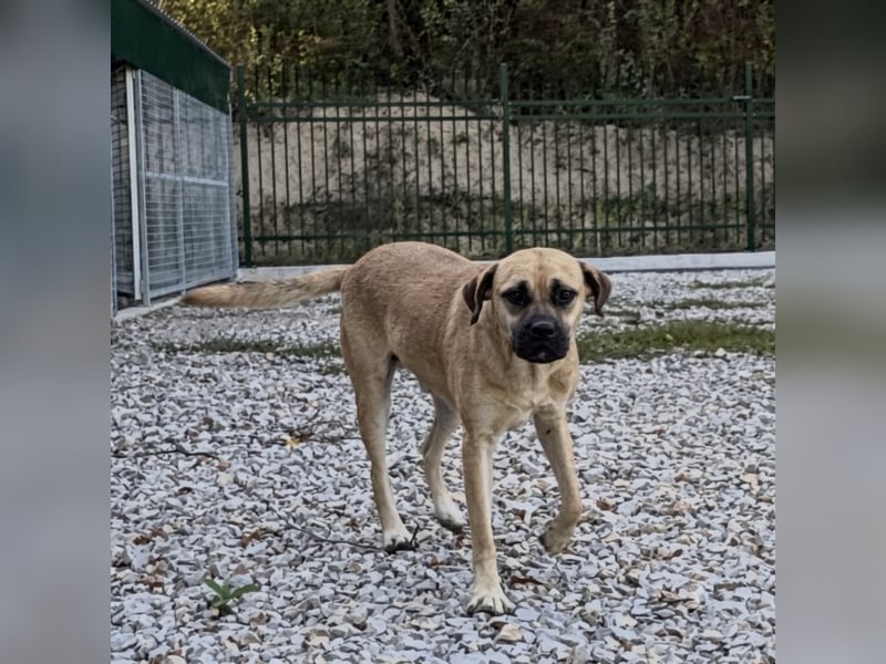 Murphy ein besonders lieber Engel