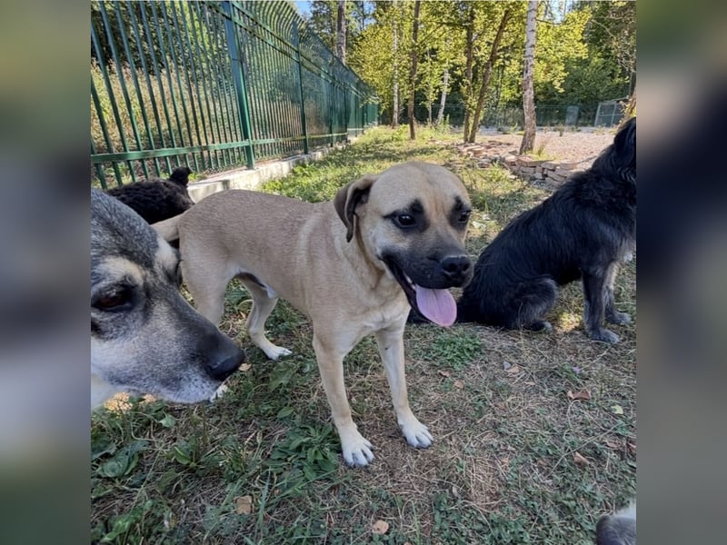Murphy ein besonders lieber Engel