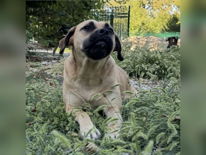 Murphy ein besonders lieber Engel