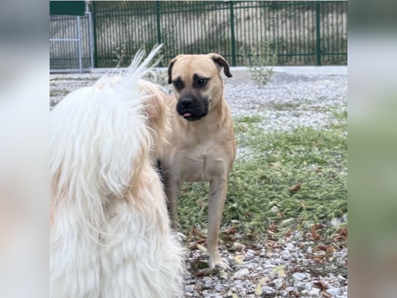 Murphy ein besonders lieber Engel