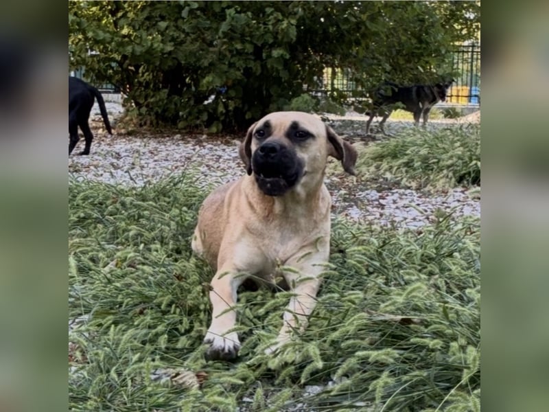 Murphy ein besonders lieber Engel