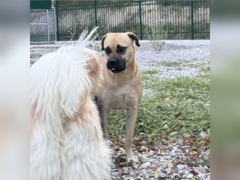 Murphy ein besonders lieber Engel