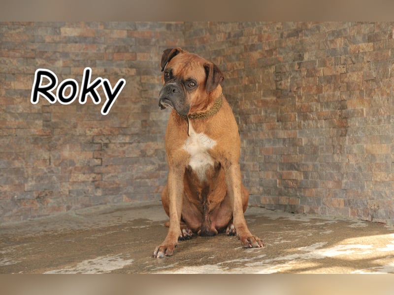 Schenken Sie Roky eine Zukunft?