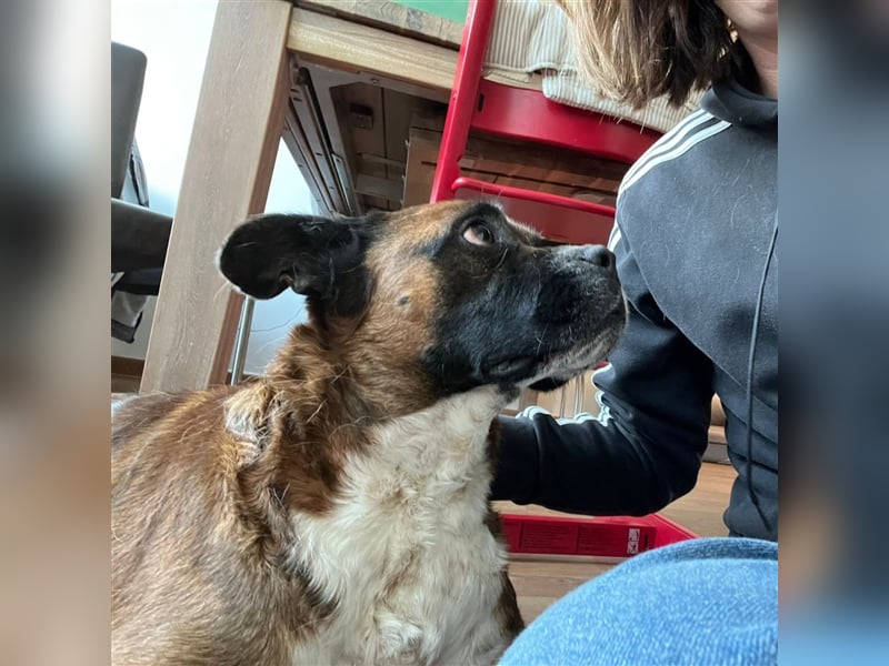 GÜNTHER