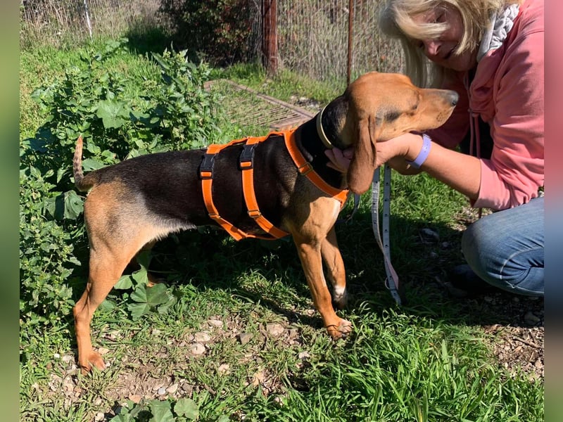 Jenny, ein echtes Dreamdogmädchen