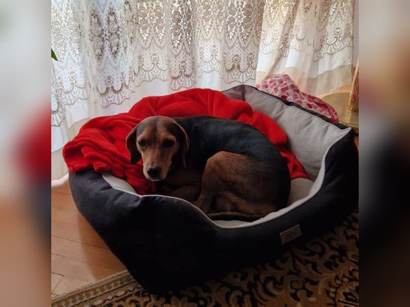 Marta sucht ihre Für-Immer-Familie❤️