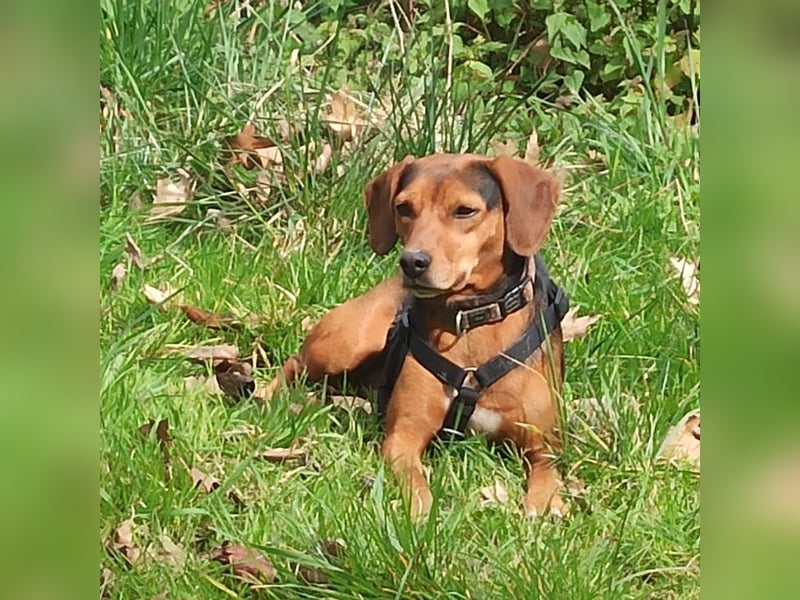 Marta sucht ihre Für-Immer-Familie❤️