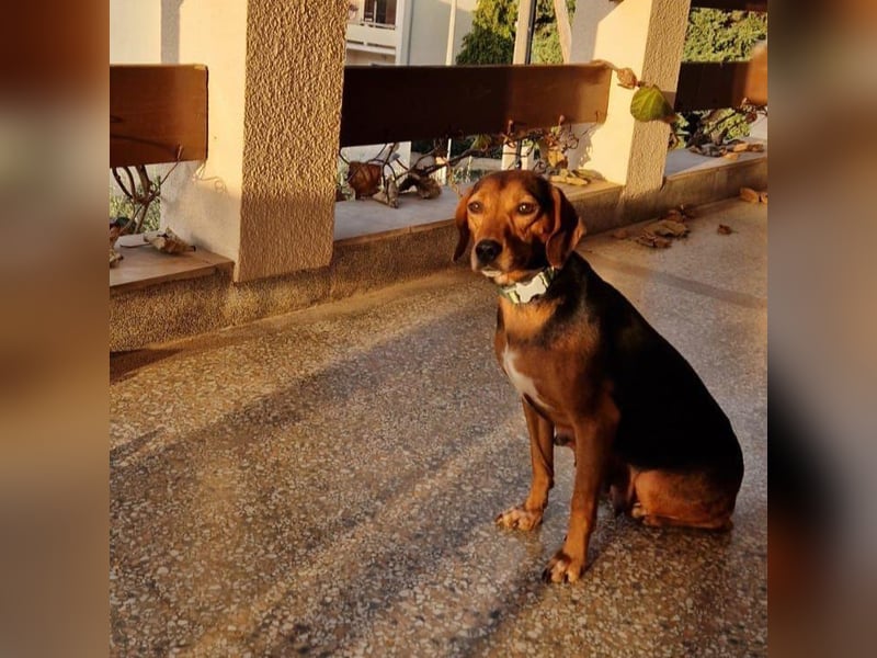 Marta sucht ihre Für-Immer-Familie❤️