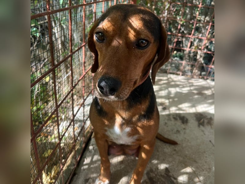 Marta sucht ihre Für-Immer-Familie❤️