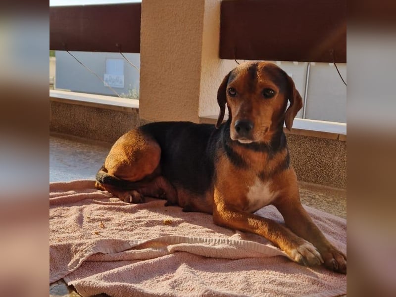 Marta sucht ihre Für-Immer-Familie❤️