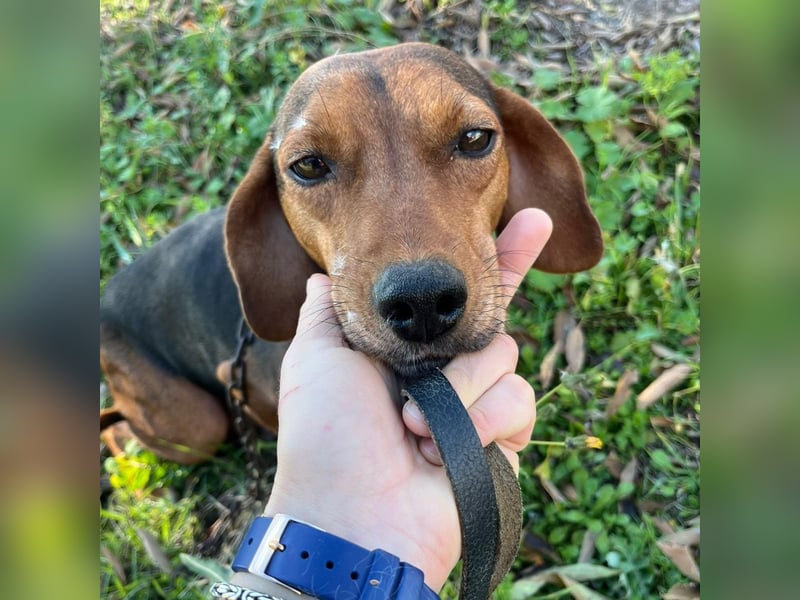 Marta sucht ihre Für-Immer-Familie❤️