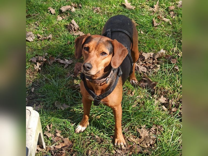 Marta sucht ihre Für-Immer-Familie❤️