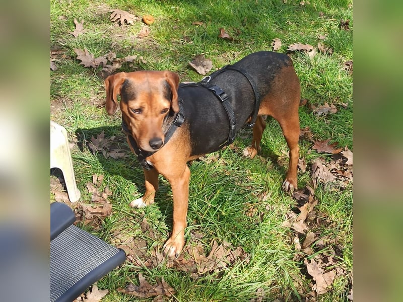 Marta sucht ihre Für-Immer-Familie❤️