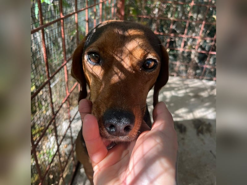 Marta sucht ihre Für-Immer-Familie❤️