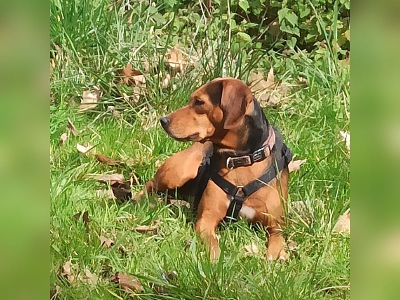 Marta sucht ihre Für-Immer-Familie❤️