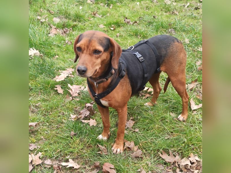 Marta sucht ihre Für-Immer-Familie❤️