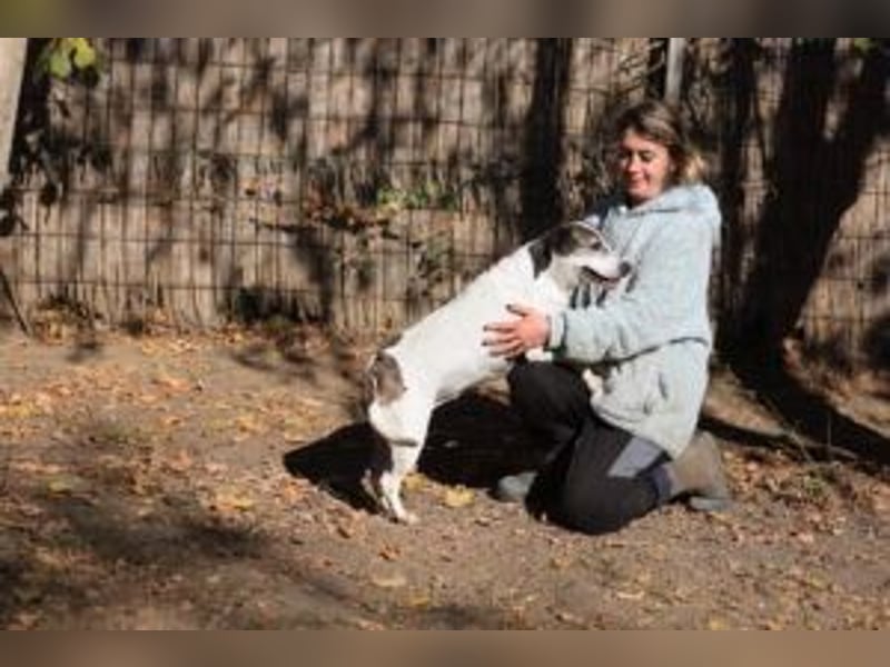 Die freundliche Lucy  sucht ihr endgültiges  Körbchen