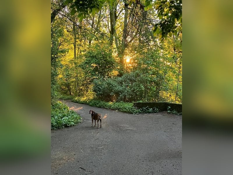 Alva sucht neuen Wirkungskreis