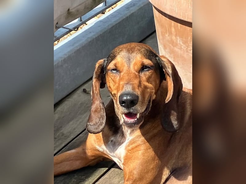 Alva sucht neuen Wirkungskreis