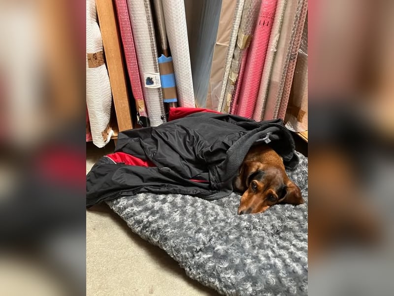 Alva sucht neuen Wirkungskreis