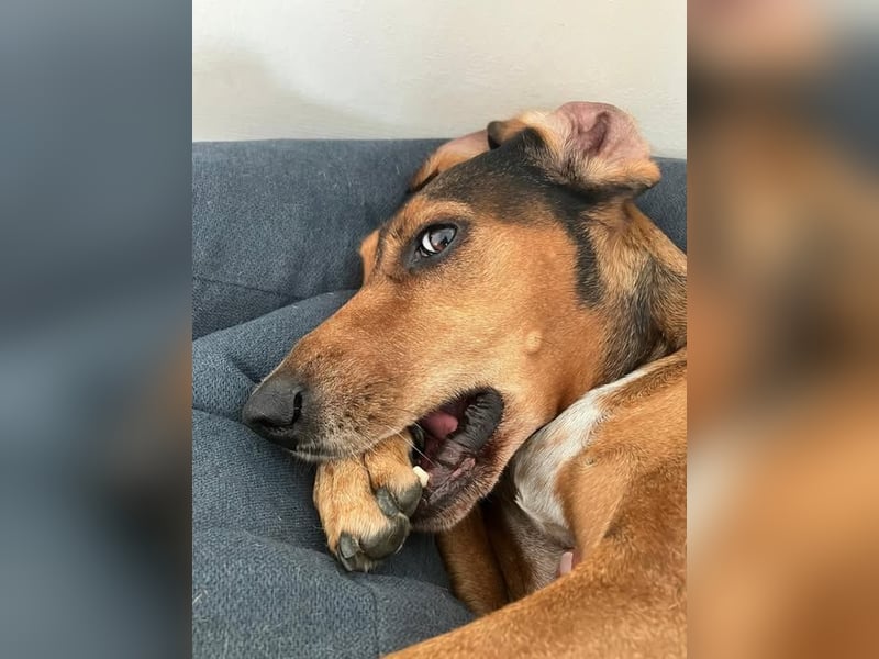 Alva sucht neuen Wirkungskreis