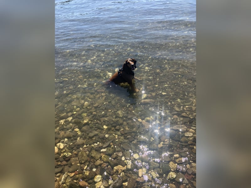 Alva sucht neuen Wirkungskreis