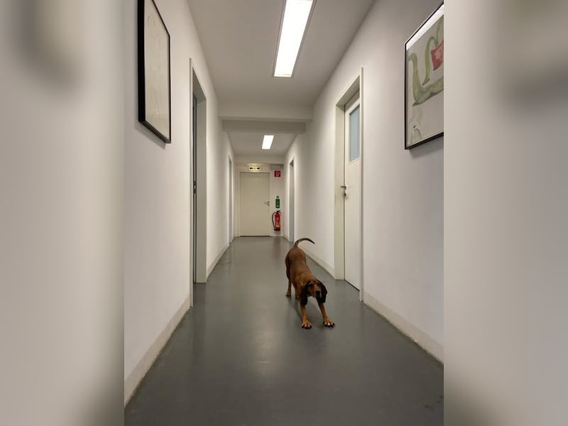 Alva sucht neuen Wirkungskreis