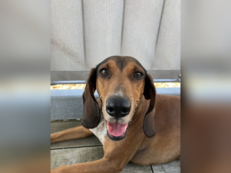 Alva sucht neuen Wirkungskreis