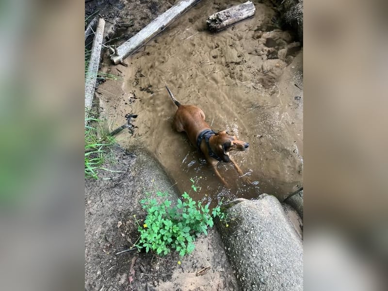 Alva sucht neuen Wirkungskreis